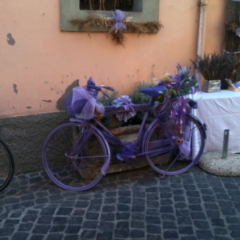 Purple Bycicle